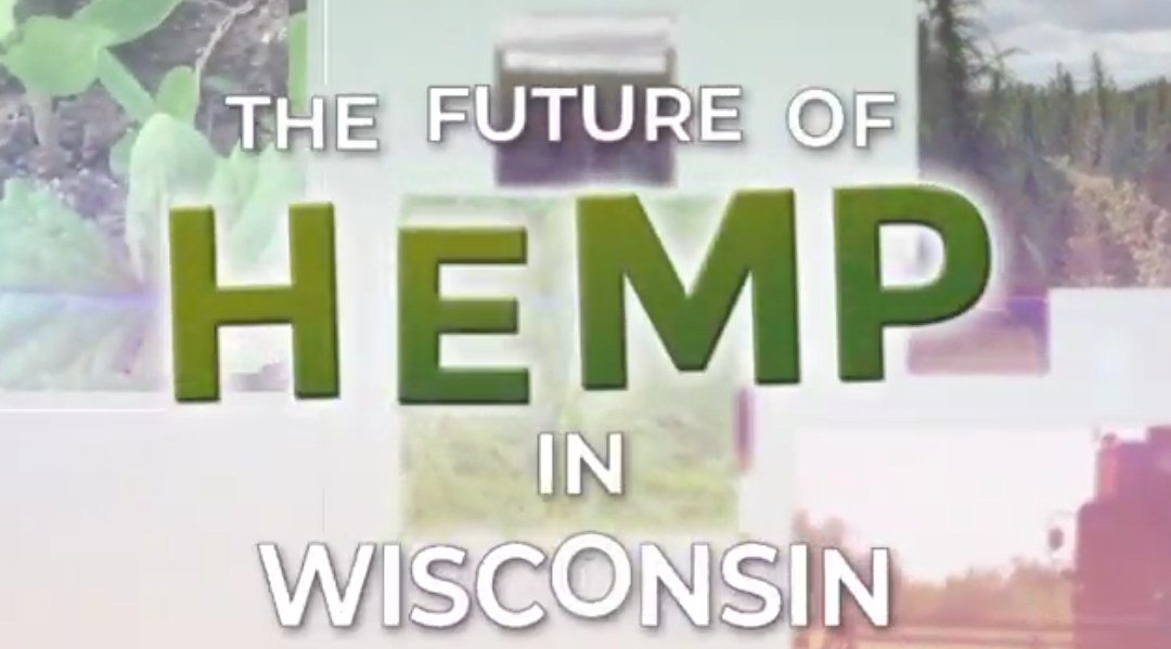 Wisconsin’s first Hemp harvest since the 1950’s